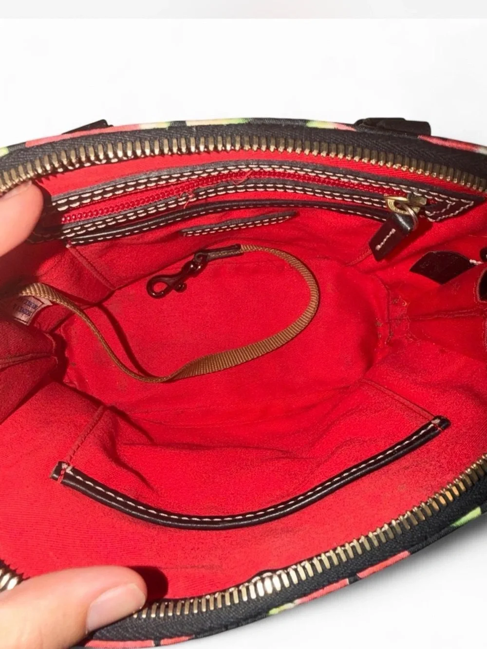 Dooney & Bourke Watermelon Print Dome Satchel with Black Trim